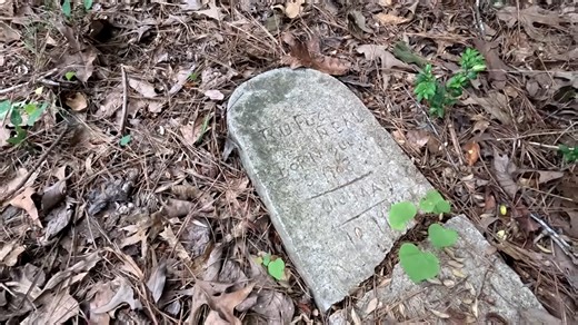 He survived slavery - but what happened next is the real shock