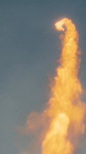 13K views · 27 reactions | Disney+ on Reels | Facebook