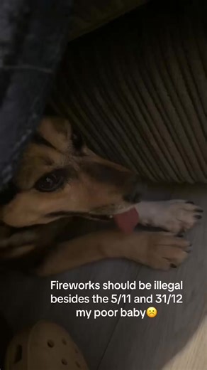 Lucy (@lucygreenn_1)’s videos with original sound - RunDownRiver