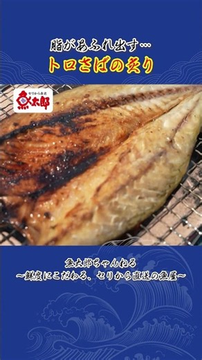 Overflowing with Fat... Seared Fatty Mackerel