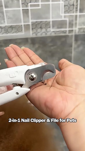 403K views · 3.3K reactions | PetsGoodis on Reels | Facebook