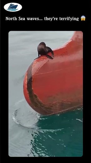 Waves So Massive They Challenge the Strongest Ships #northsea #waves #maritime
