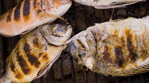 O sursă excelentă de proteină: peștele