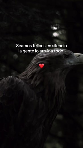 Embrace Happiness in Silence