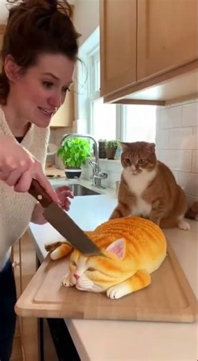 My Cat Thought This Cake Was Alive… BIG Mistake 😂