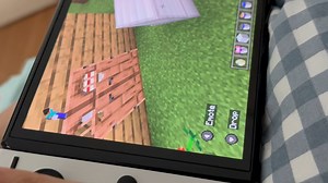 Minecraft how to build the bodyguard