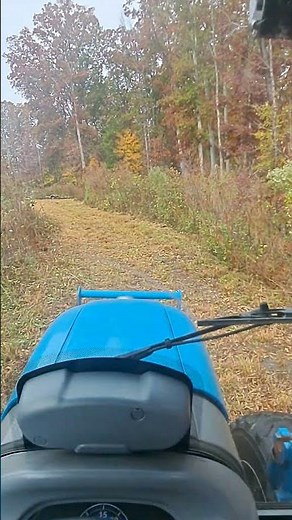 beginners guide to bush hogging. #lstractor #tractor #mowing #farming