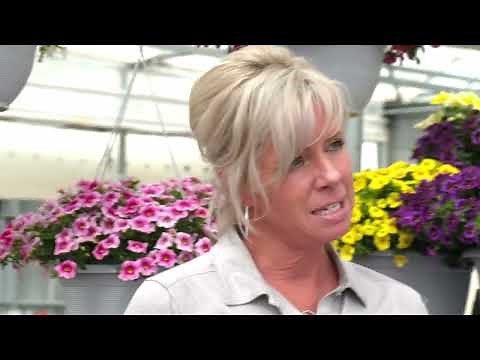 New Calibrachoa for 2023 from Ball FloraPlant