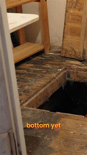 We FOUND a CELLAR!
