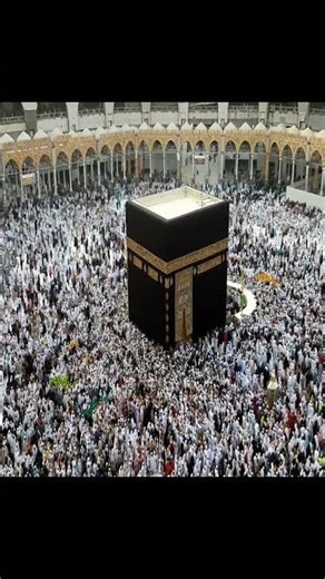 Song - Muhammad Nabina - Nasheed