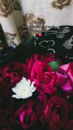 just imagine 😂🤭 Snack Love, Wrapped with Care ✨ Because the best gifts are the ones filled with crunch, chocolate & smiles 🤎🍫 This beautifully packed Snack & Chocolate Basket is perfect for birthdays, surprises, thank-you gifts, or just to make someone’s day extra special 💐 🎁 Handpicked snacks 🎀 Elegant net wrapping 🤍 Ready-to-gift basket 😋 A treat everyone loves 💥 Special Deal Alert! 💥 ✔ Custom baskets available ✔ Bulk order discounts ✔ Limited-time offers — DM to grab yours now! 📩 