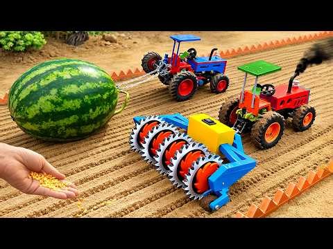 TOP Most Creative DIY Circular Saw Blade in Strange Mutant Watermelon Farming | HP Mini DIY Tractor