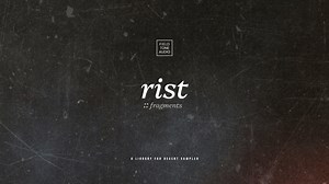 rist :: fragments