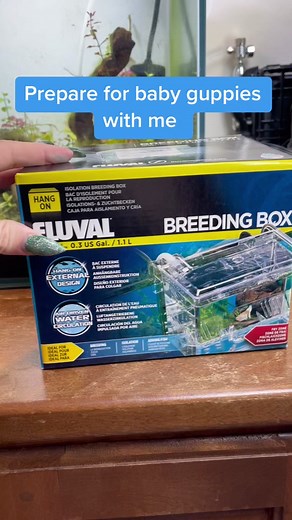 Setting Up a Fluval Breeding Box for Guppy Fry Care