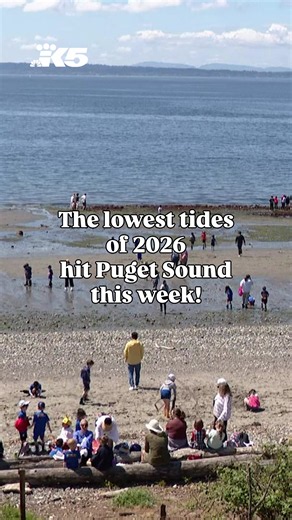 The lowest tides of 2026 hit Puget Sound on June 15 and June 16. There’s still time to enjoy the low tides!