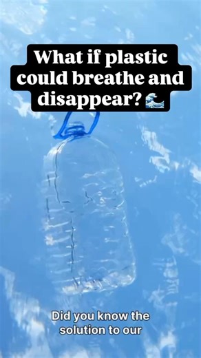 Algae: The Living Plastic Solution #algae #science #climateaction #climatechange