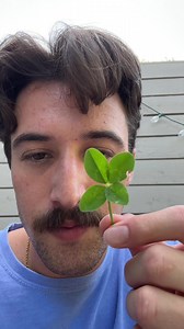 Gifts of Good Luck: Four-Leaf Clover Surprise