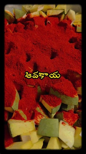 avakaya pickle Meeku detailed recepie kavali ante please do comment #aavakaya #pickle #mango