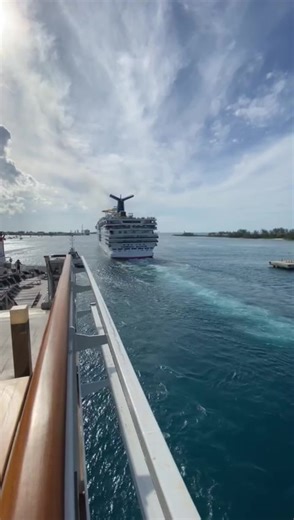 30K views · 990 reactions | Carnival Elation LOVERS. ♥️ | Carnival Cruise FUN | Facebook