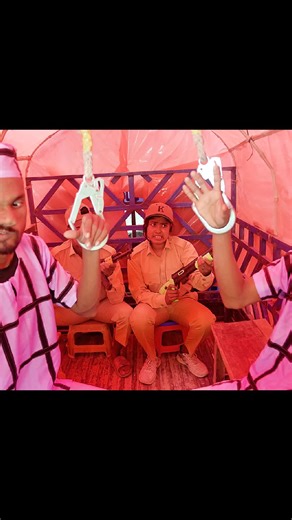 Hilarious Moments Between American Police and Criminals