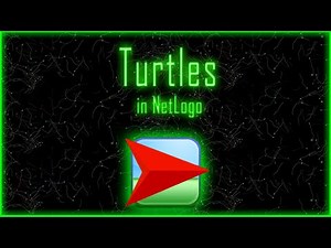 Turtles: what are they and how interact with them - NL3
