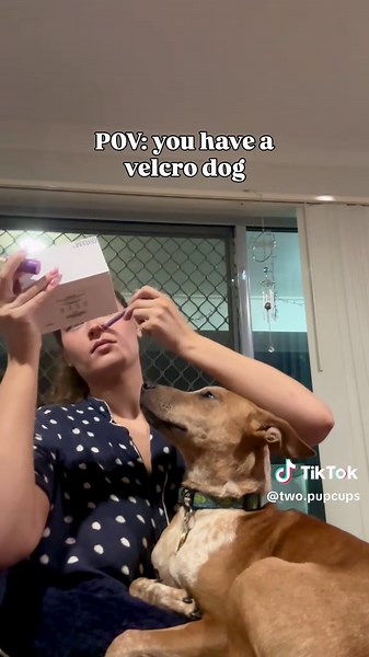 two.pupcups on TikTok