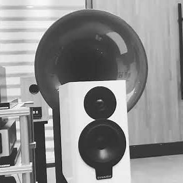 NAD M10 配 Dynaudio XEO絕妙好聲音