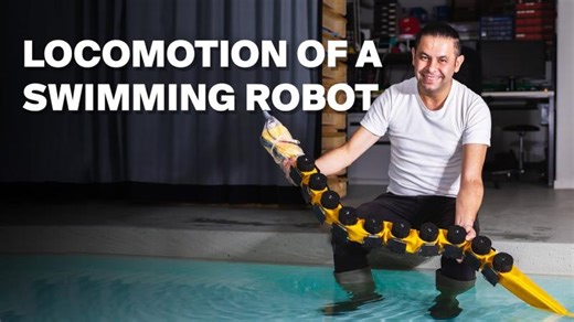 Swimming robot gives fresh insight into locomotion and neuroscience | Stephanie Soquet