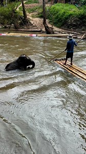Bank Mahout on Reels