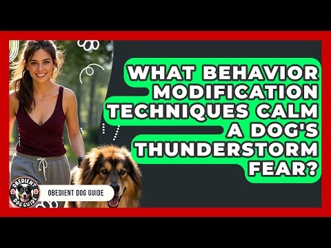 What Behavior Modification Techniques Calm A Dog's Thunderstorm Fear? - Obedient Dog Guide