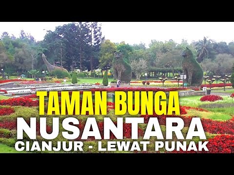 Keindahan Taman Bunga Nusantara dari Dekat 🌺 Wisata Edukatif & Instagramable
