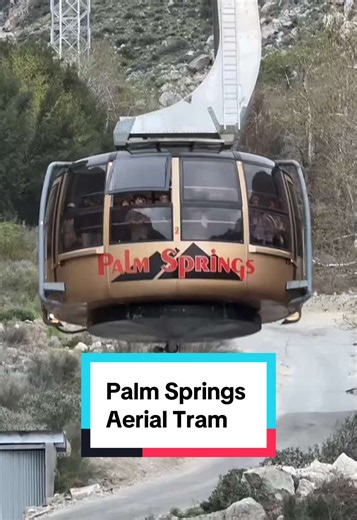 Exploring Palm Springs Aerial Tramway with Kids