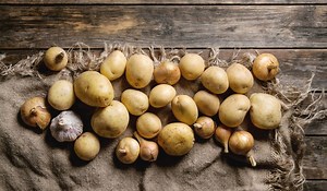 Is a Potato a Root - The Facts About Potatoes - Gardening Dream