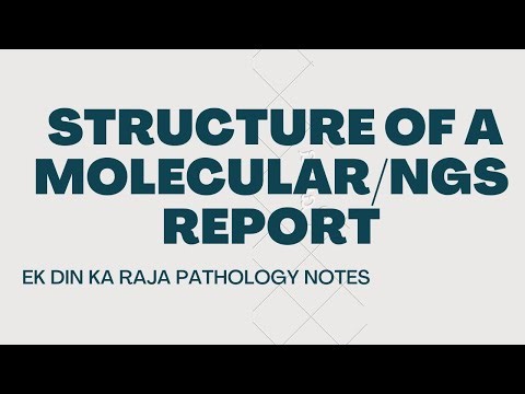 STRUCTURE OF MOLECULAR REPORT