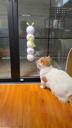 Nio Pets on Instagram: "🐛⚡ **Self-play mode: ACTIVATED!** 🤖😻 Let your kitty chase, pounce, and *obsess* over the **allforpaws Smart Caterpillar Toy**! This suction-cup-powered wiggler uses *motion sensors* to dart and dance—keeping cats entertained for hours (even when you’re busy!). 🔋🎉 👉 **SWIPE** to see it in action—*chaos guaranteed*! ✨ **Smart sensor tech** = endless unpredictable moves! ✨ **Rechargeable** = no battery hassle. ✨ **Suction cup base** = stays put during wild play! 💬 Com