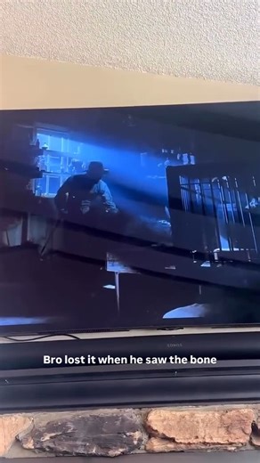 happypets on Instagram: "Cutest husky ever🥰😂"