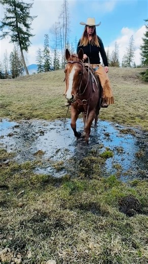 Watch her step through spring water on a trail ride. Hoof splash moment. #horse #trailride #shorts