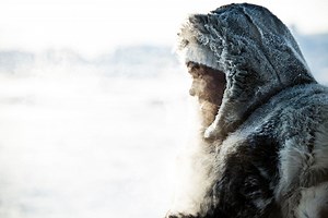 Greenland in Winter: Northern Lights, Dog Sledding & the Ilulissat Icefjord | Holidays 2026/2027