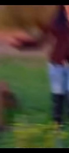 Videos de 🌼atika🌼 (@atika_lsas) con “sonido original - 🌼atika🌼”