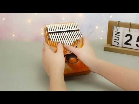 Mbira Instrument