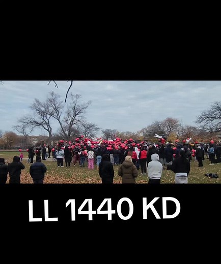 Til we meet again broski 💔🕊💔🕊 #fosterpark #chicago #fyp #foryou