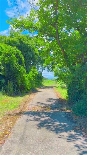 日本の風景と田舎暮らし