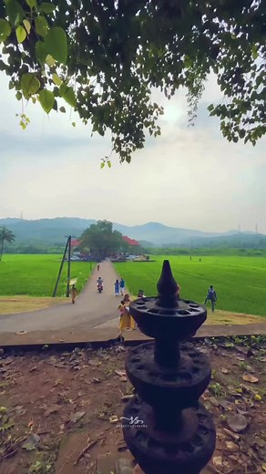 Exploring Serene Rural Landscapes