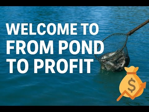 From Pond to Profit | Welcome to the World of Smart Fish Farming