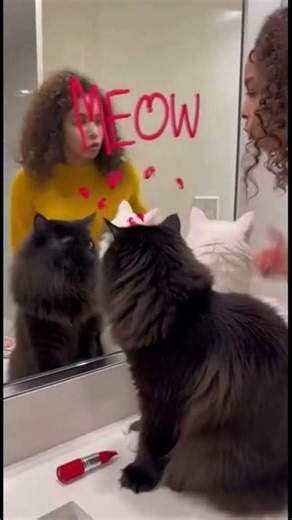 TWIN TROUBLES: 2 hours at my friend's house, I don't think she'll take them anymore 🙄#funny