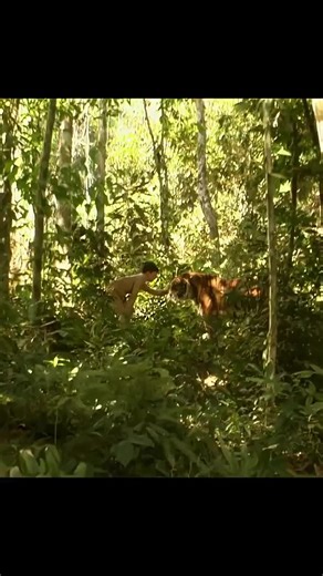 #Hollywood movie edits ActionScenes Epic Moment Viral video For you page Fyp