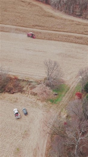 We stopped by Livingston County Farm Bureau President Matt Munsell’s farm yesterday to catch the corn harvest in action — check out this amazing footage from the field! 🌽 #farming #FarmEquipment #CornHarvest #MichiganAg #MichiganFarming | Michigan Farm Bureau