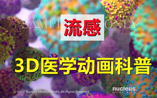 【3D医学动画科普】流感（中英双语字幕）