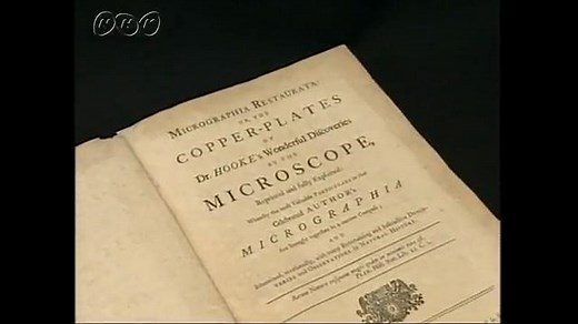 細胞の発見－中学 | NHK for School