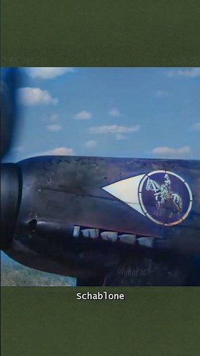 Why did the Ju 87 Stuka wing carry the Bamberg Horseman? | WW2 Docu